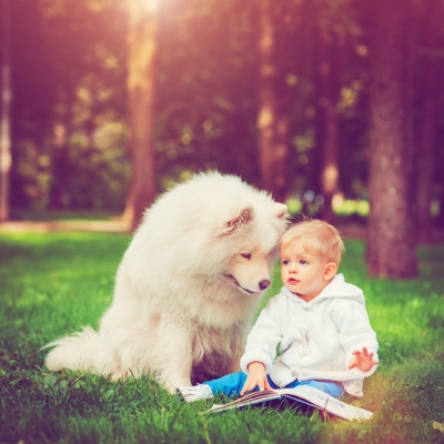 Совсем не страшный белый "волк" и в малышах он знает толк:)