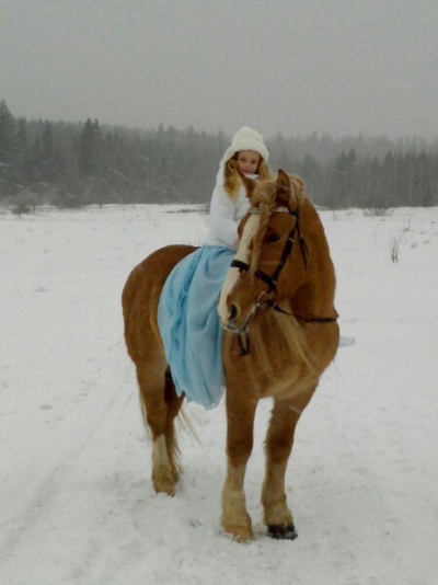 зима ,ферма, природа,за городом.